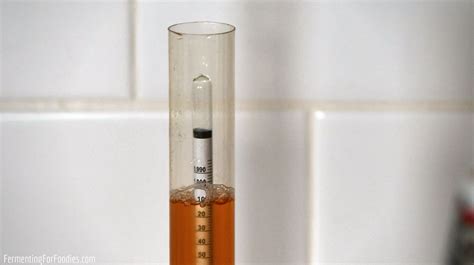 hydrometer not floating